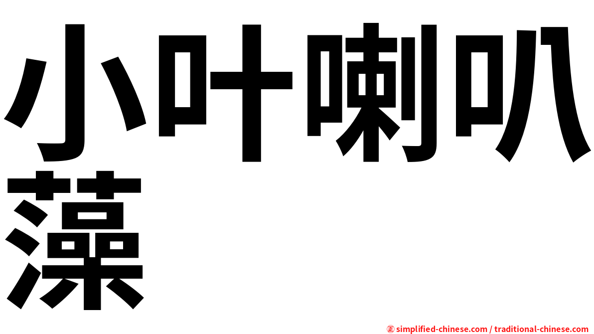 小叶喇叭藻