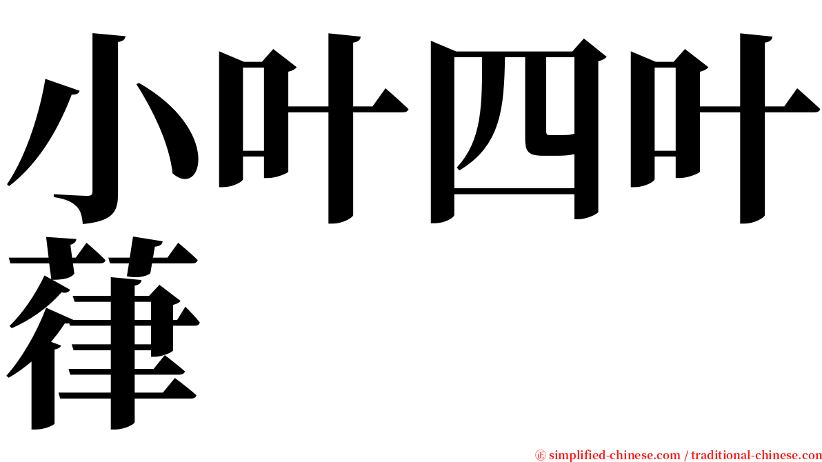 小叶四叶葎 serif font