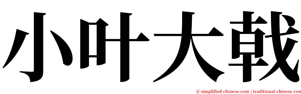小叶大戟 serif font