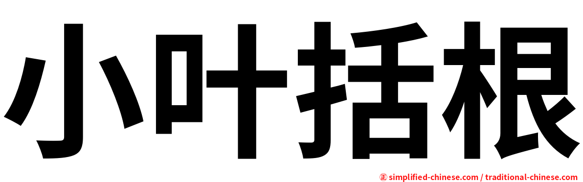 小叶括根