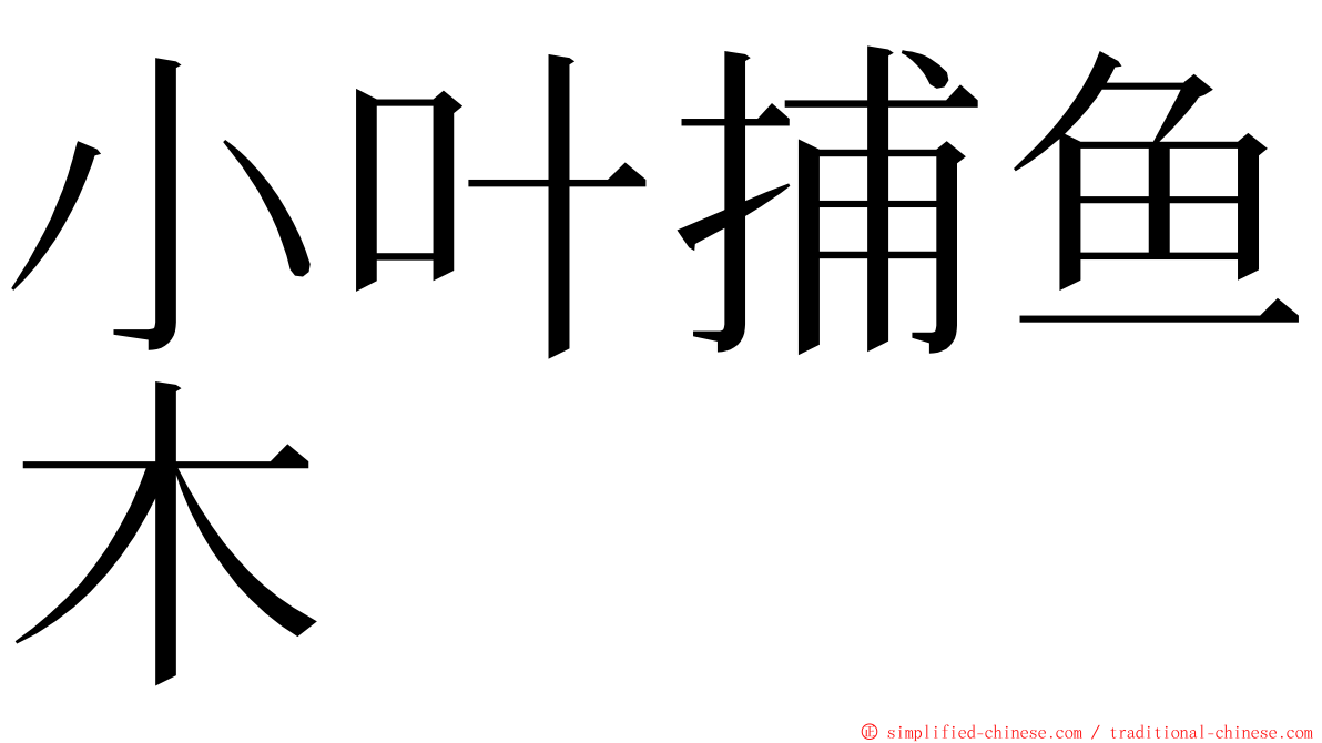 小叶捕鱼木 ming font