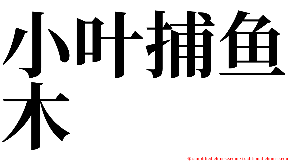 小叶捕鱼木 serif font