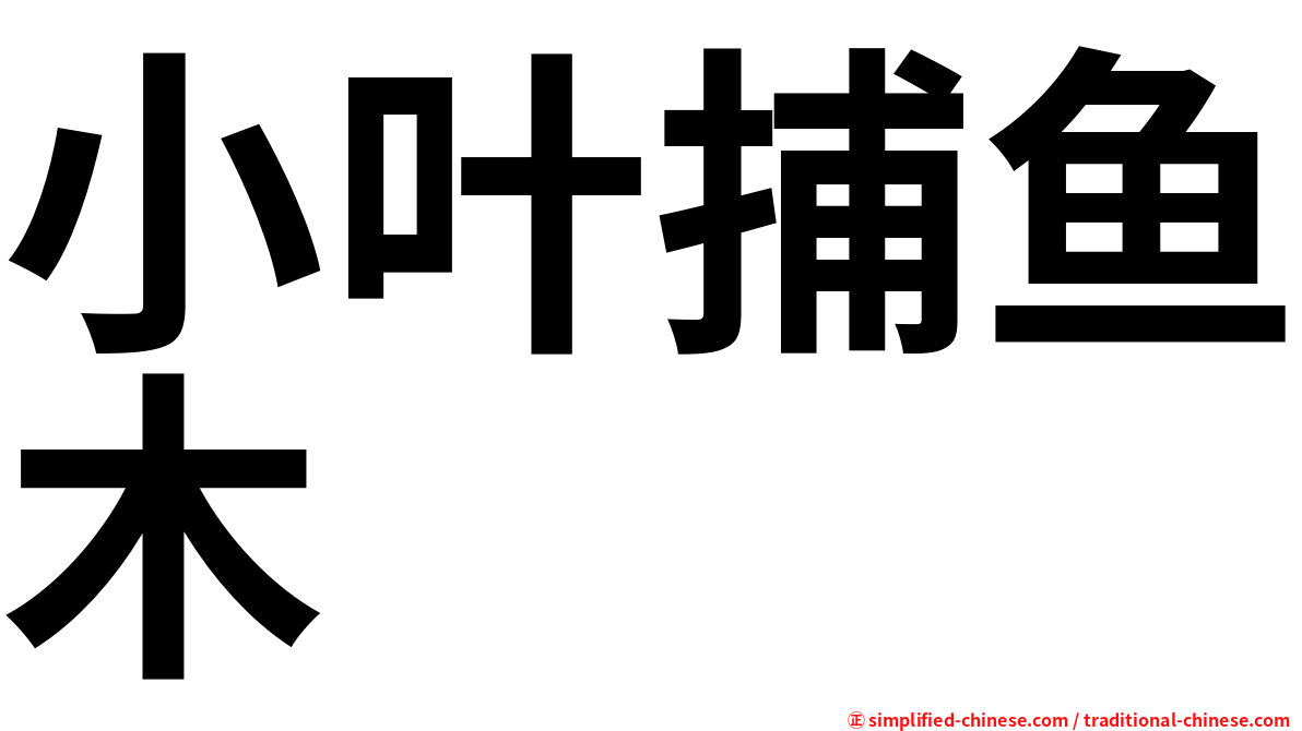 小叶捕鱼木
