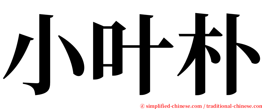 小叶朴 serif font
