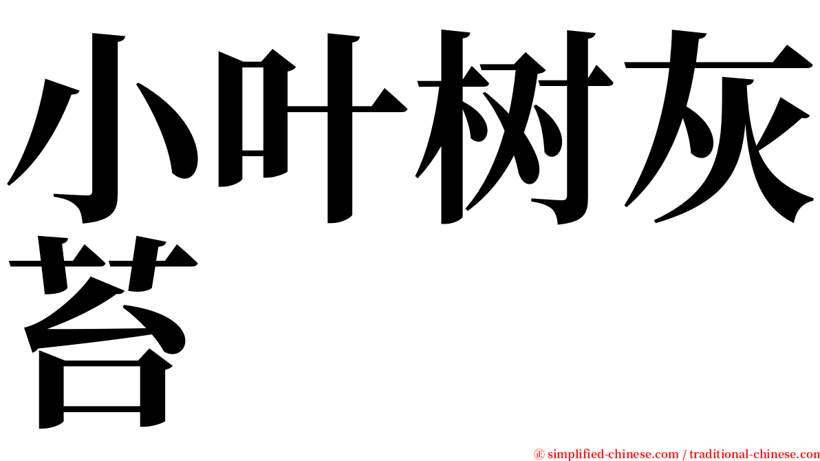 小叶树灰苔 serif font