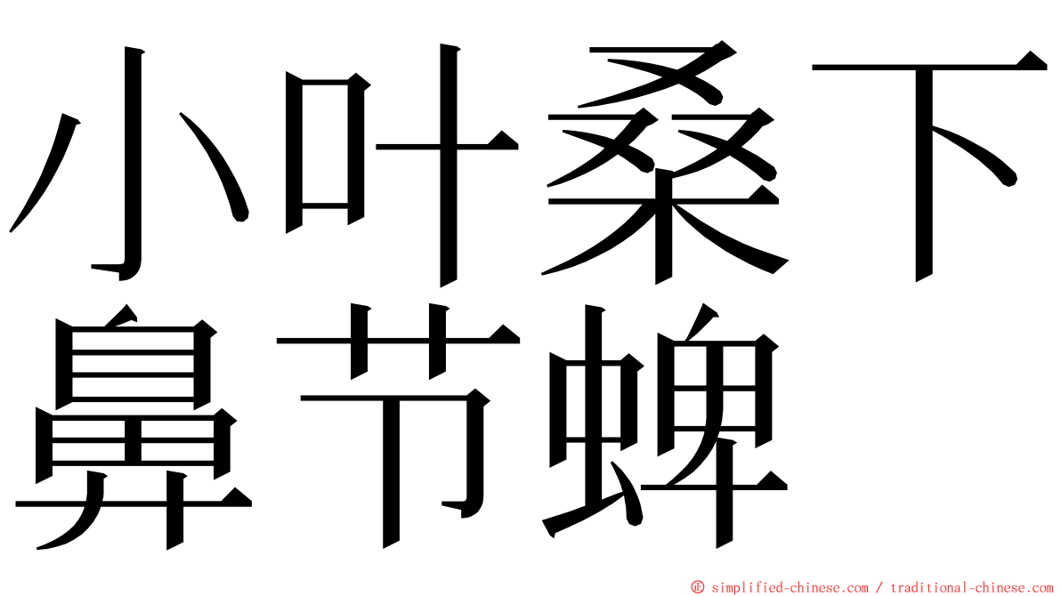 小叶桑下鼻节蜱 ming font