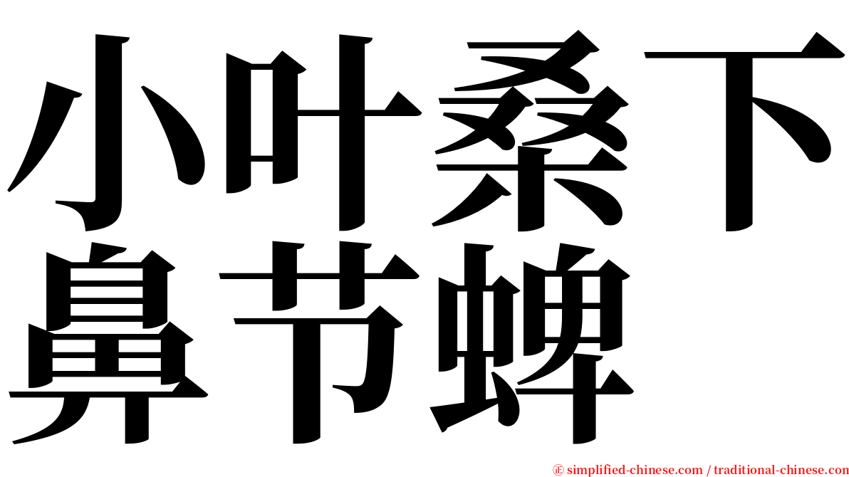 小叶桑下鼻节蜱 serif font