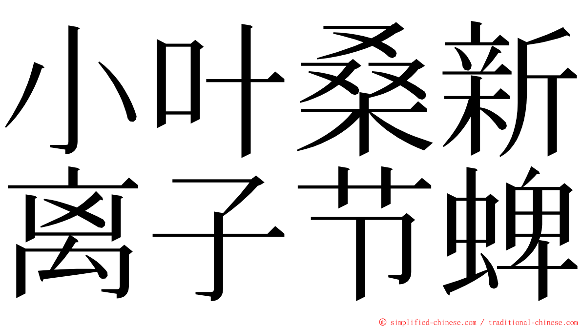 小叶桑新离子节蜱 ming font