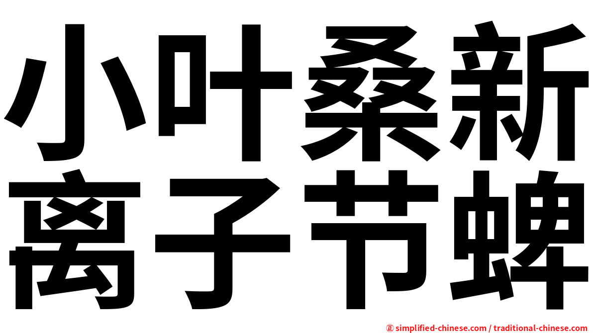 小叶桑新离子节蜱