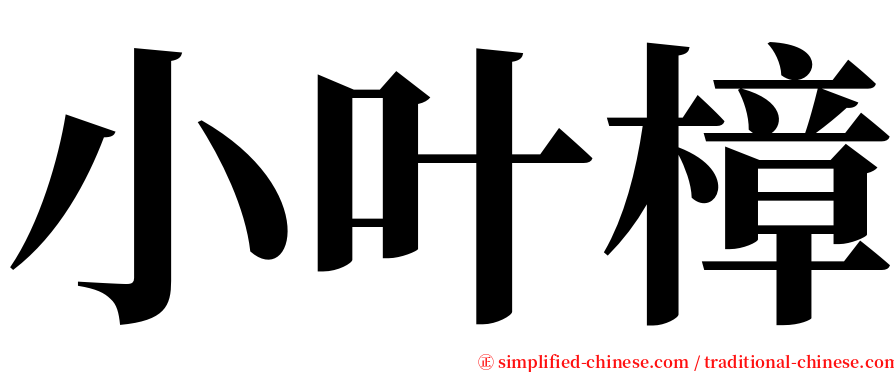 小叶樟 serif font