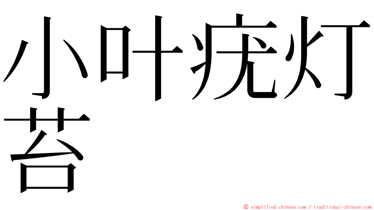 小叶疣灯苔 ming font