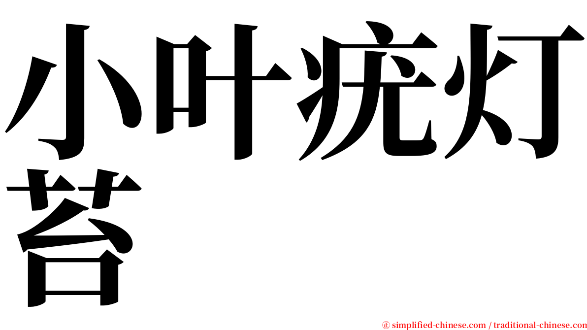 小叶疣灯苔 serif font