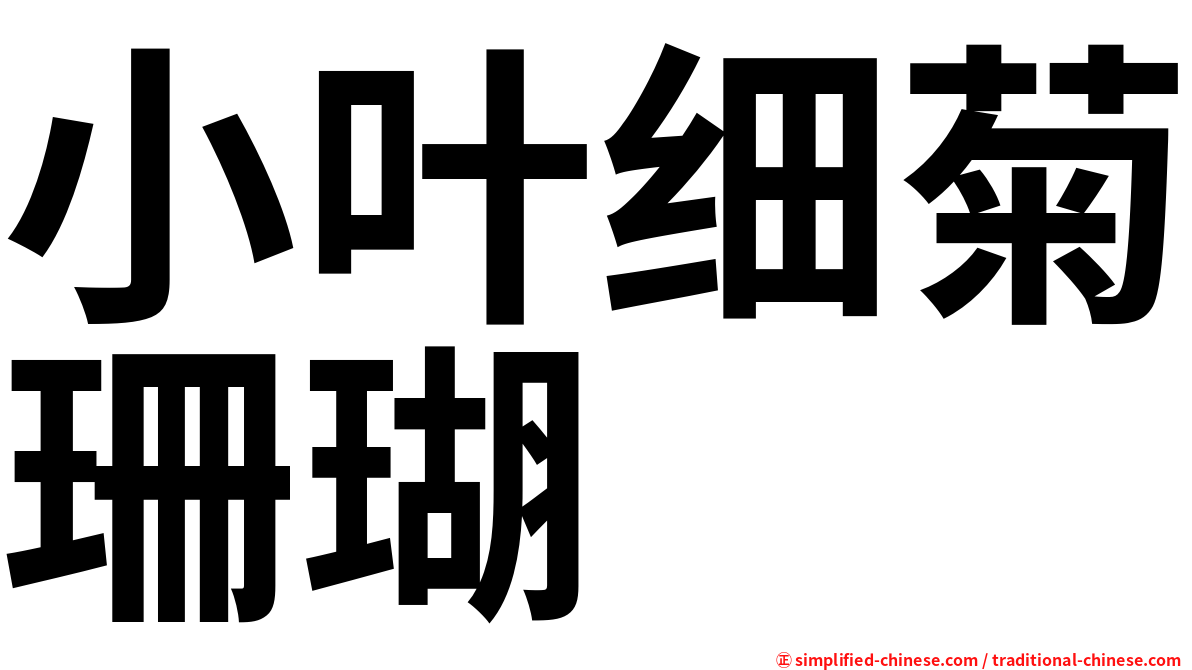 小叶细菊珊瑚