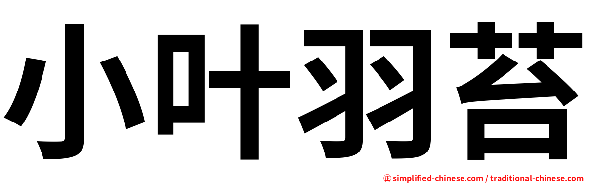 小叶羽苔