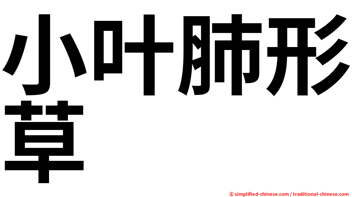 小叶肺形草