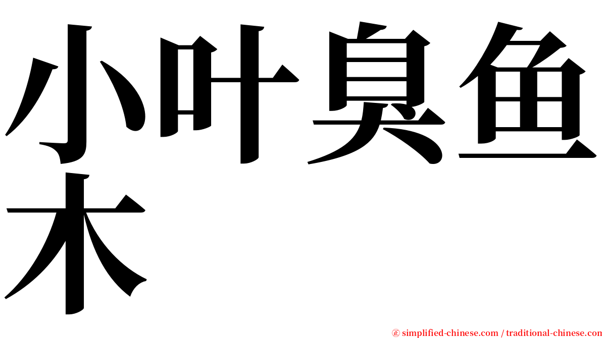 小叶臭鱼木 serif font