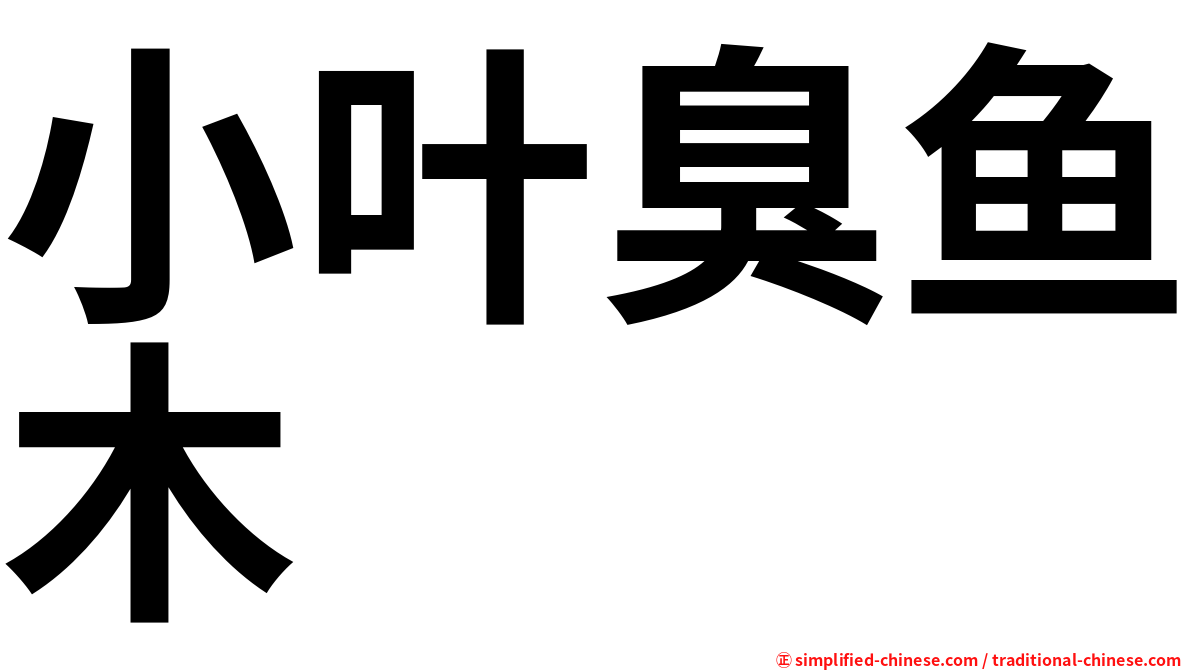 小叶臭鱼木