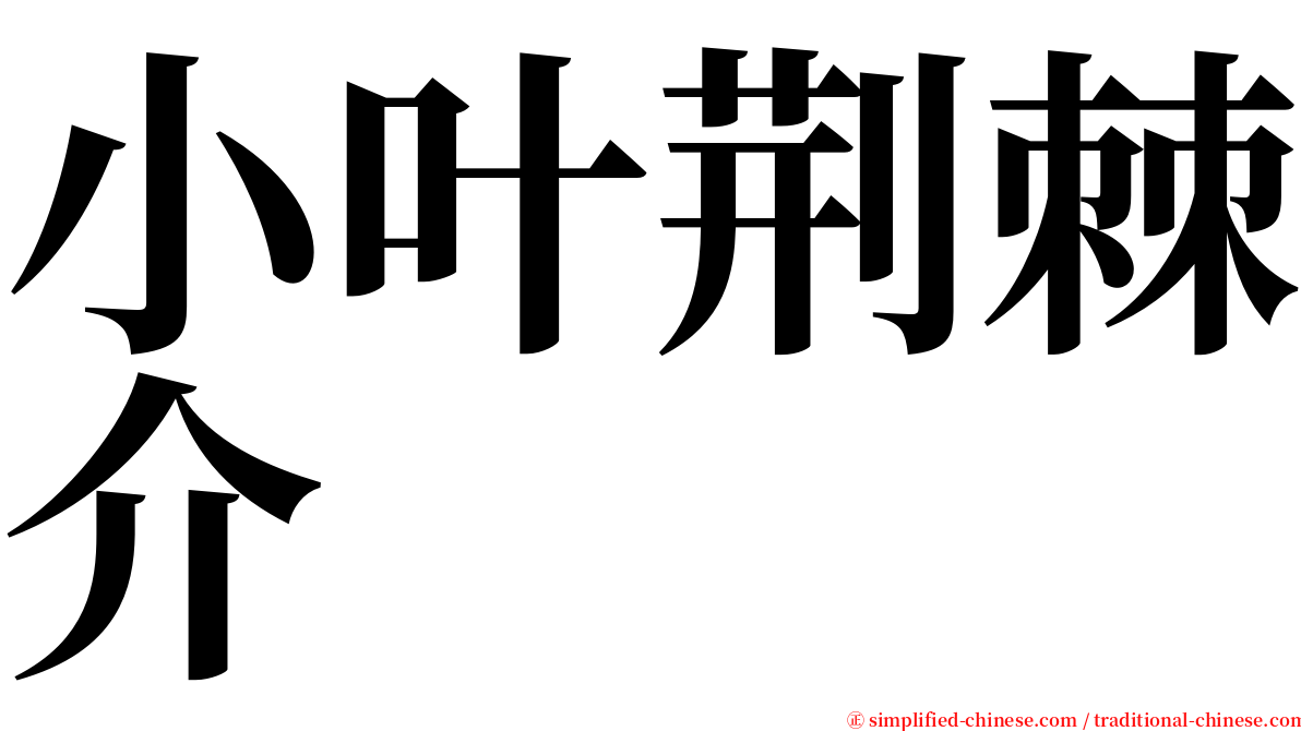 小叶荆棘介 serif font