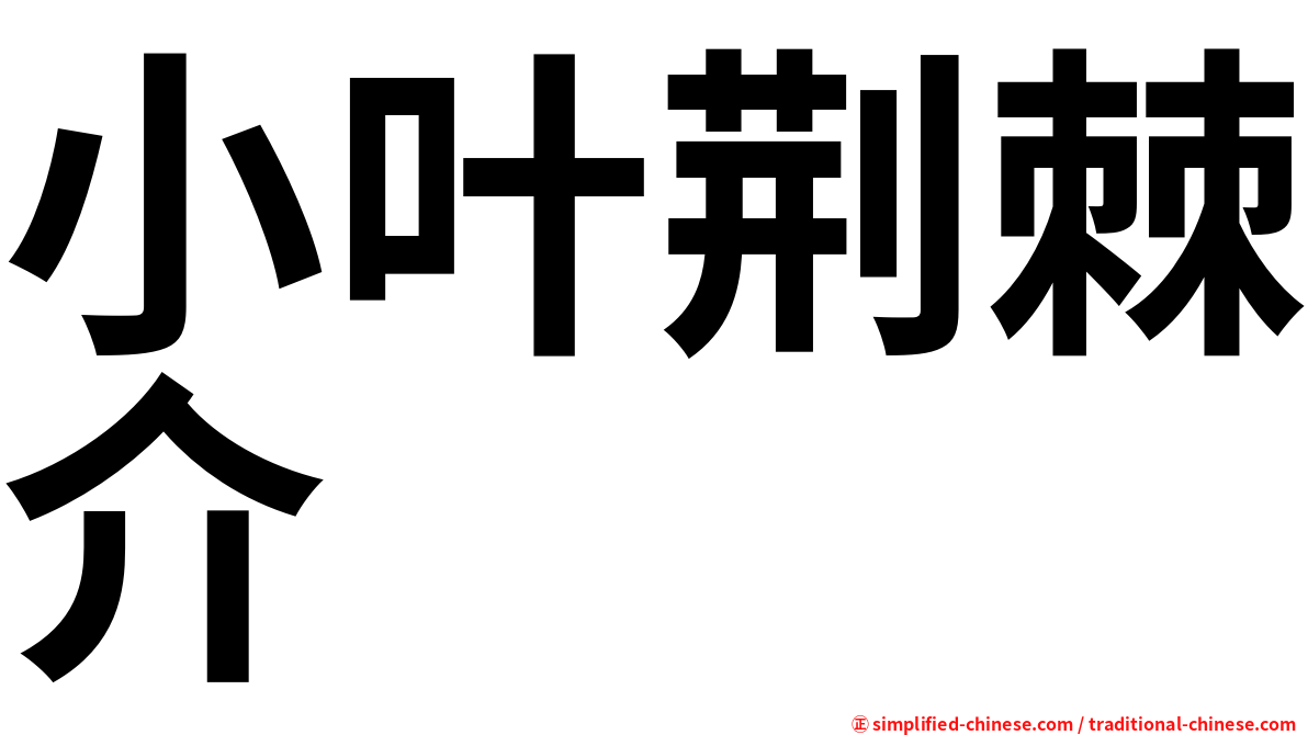 小叶荆棘介