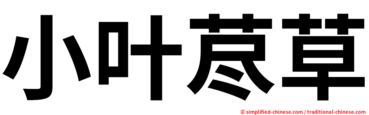 小叶荩草
