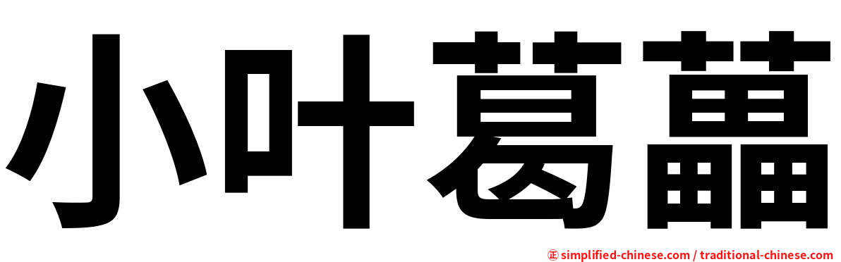 小叶葛藟