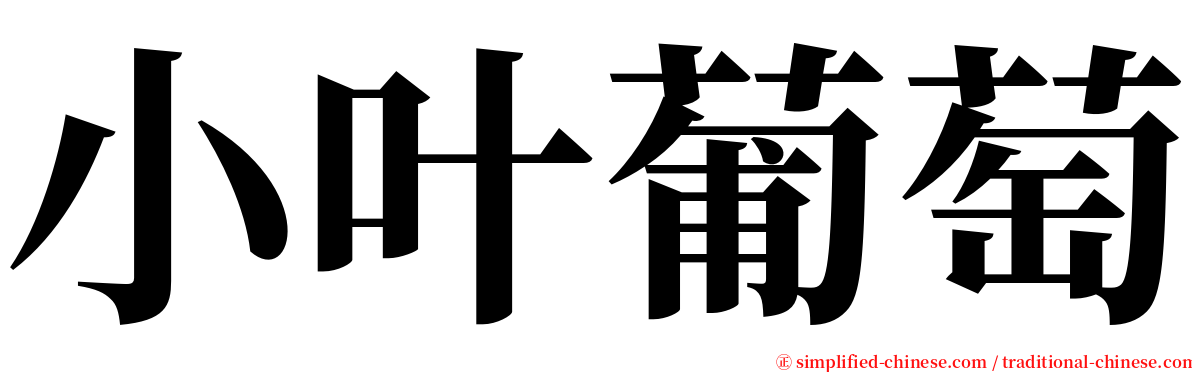 小叶葡萄 serif font