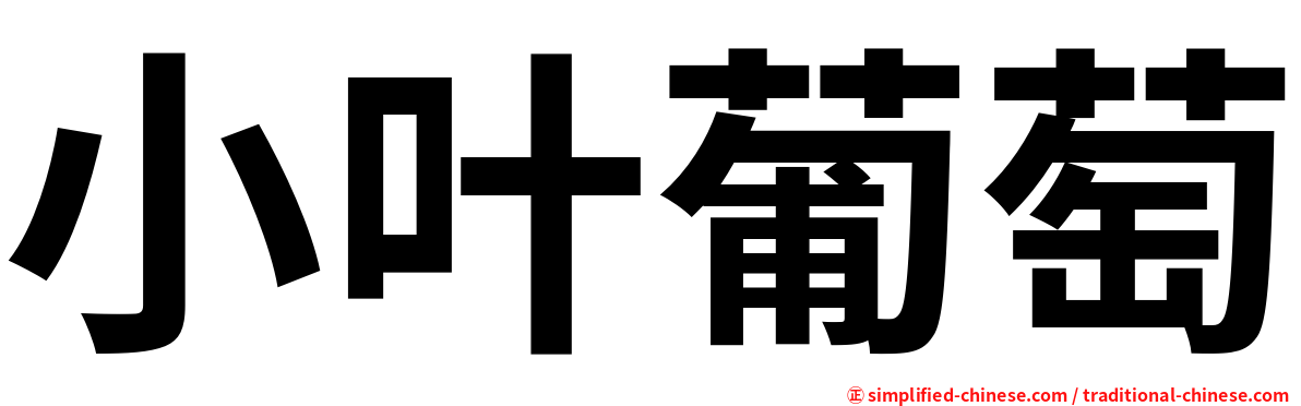 小叶葡萄