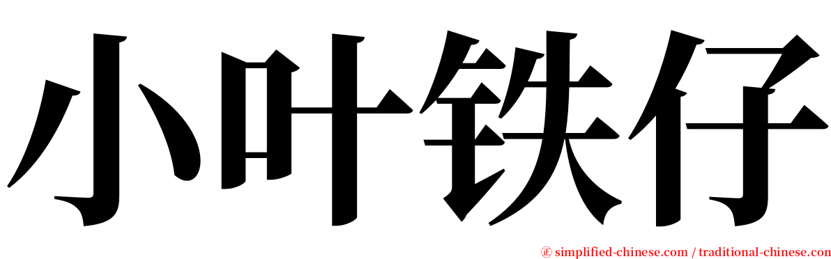 小叶铁仔 serif font