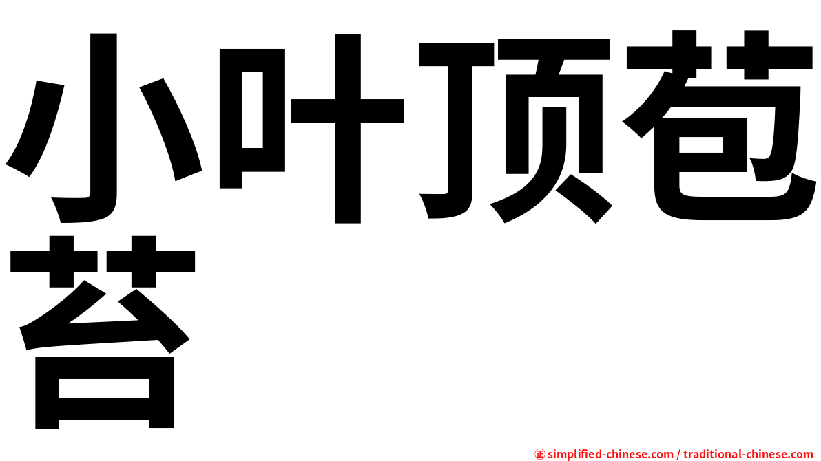 小叶顶苞苔
