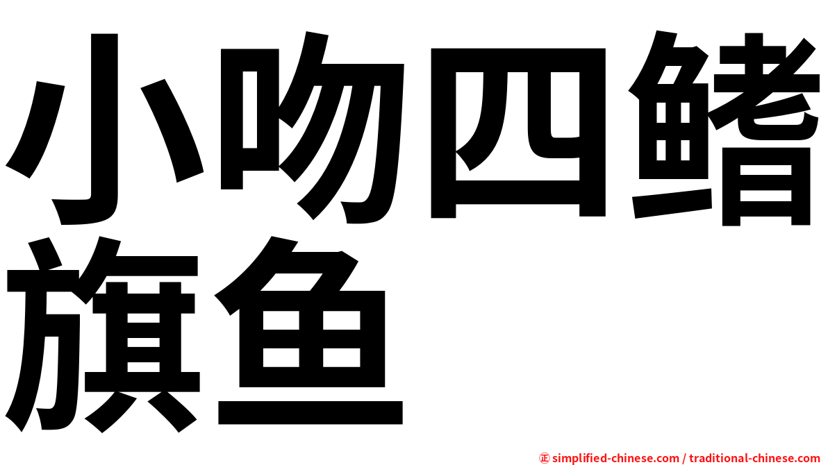小吻四鳍旗鱼