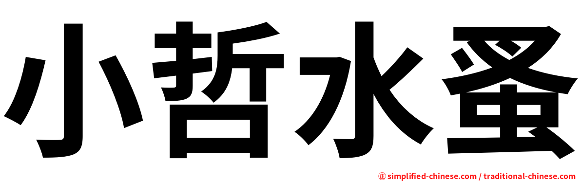 小哲水蚤