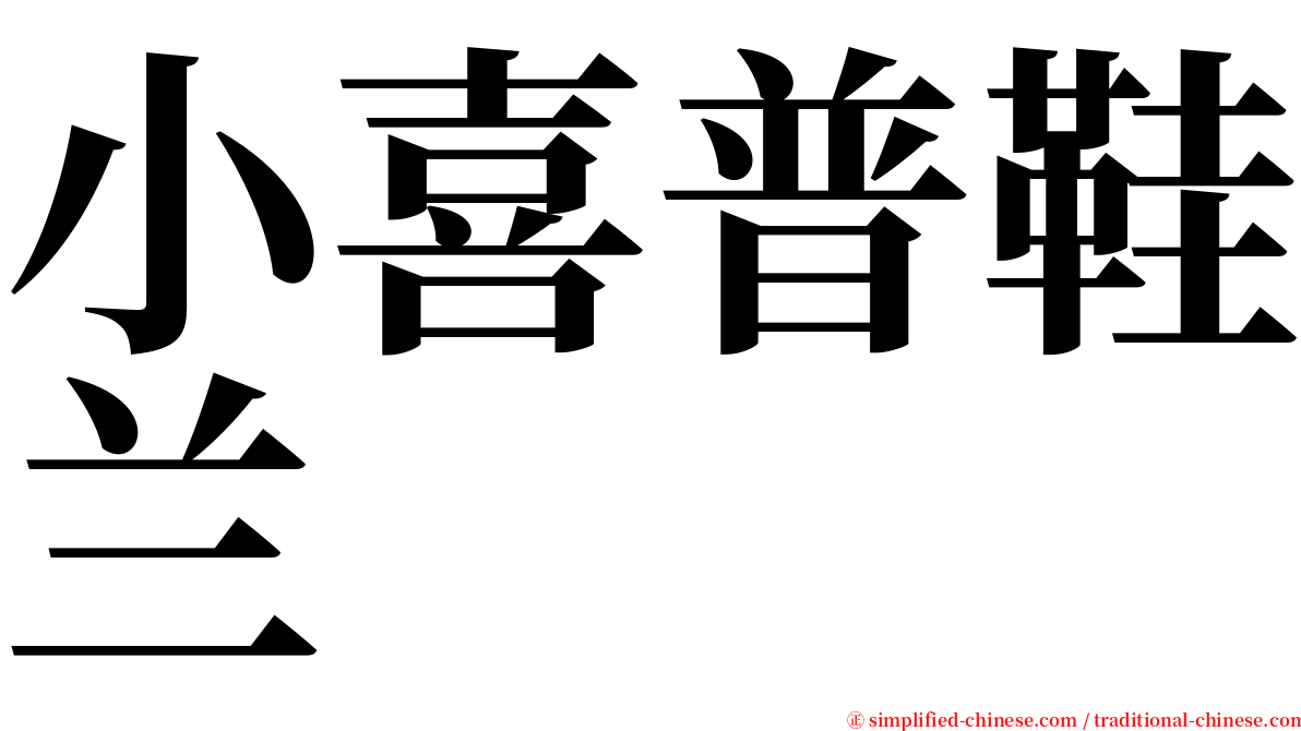 小喜普鞋兰 serif font