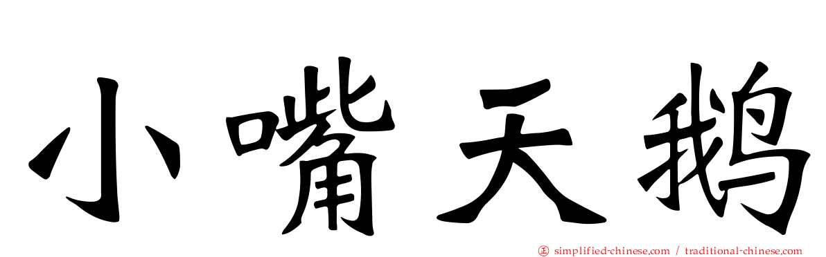 小嘴天鹅