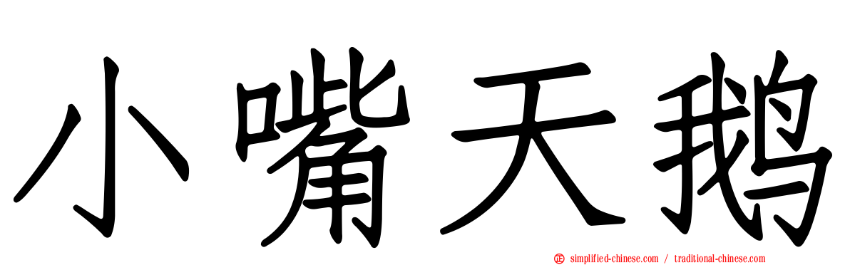 小嘴天鹅