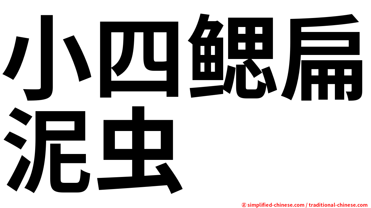 小四鳃扁泥虫