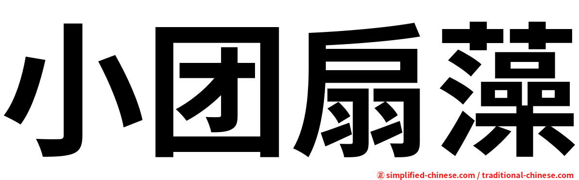 小团扇藻