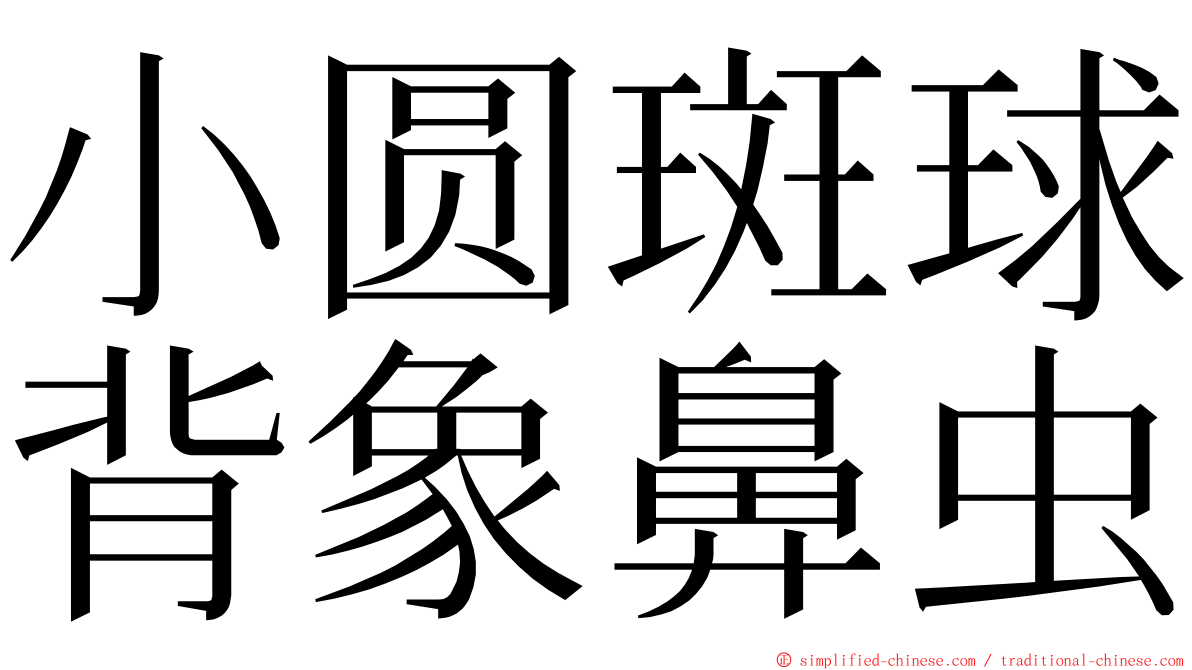 小圆斑球背象鼻虫 ming font