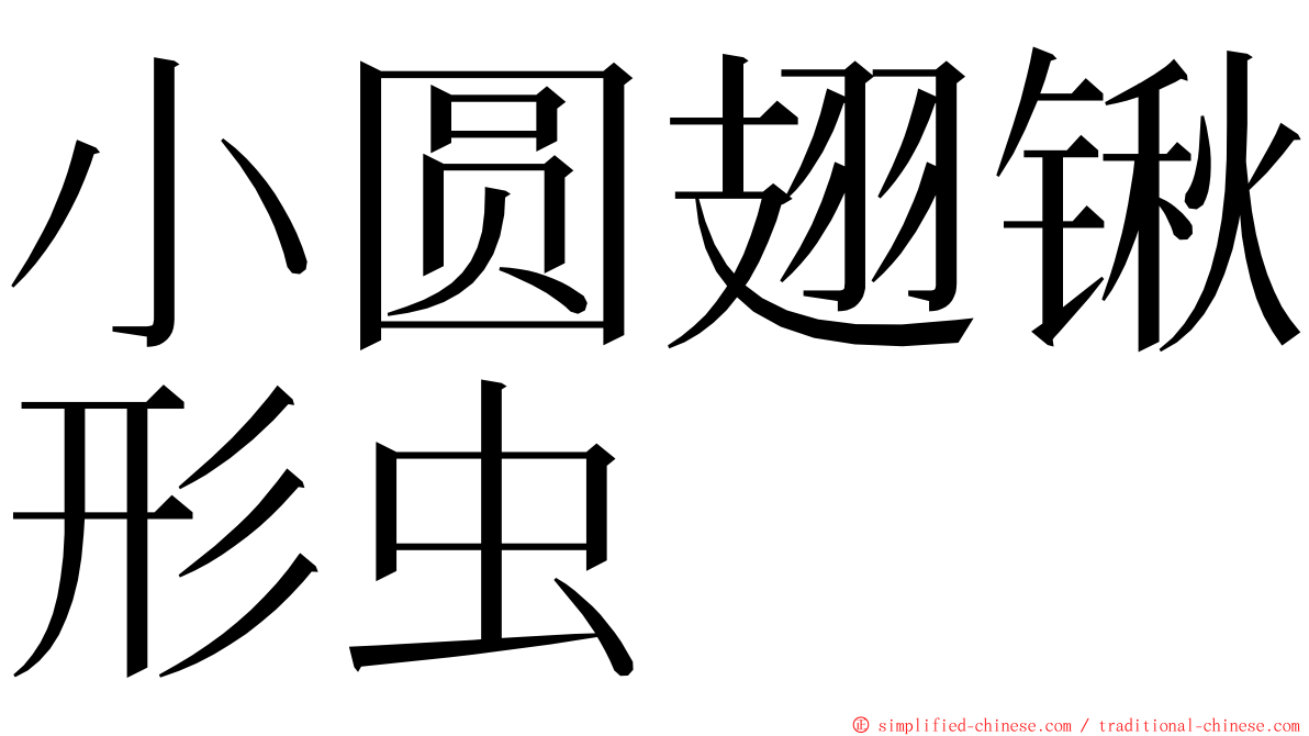 小圆翅锹形虫 ming font