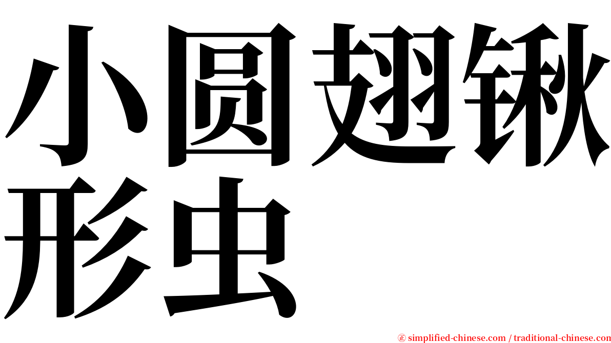 小圆翅锹形虫 serif font