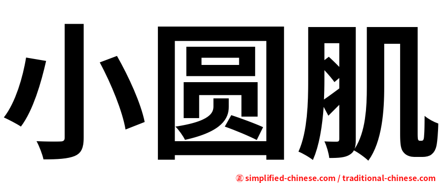小圆肌