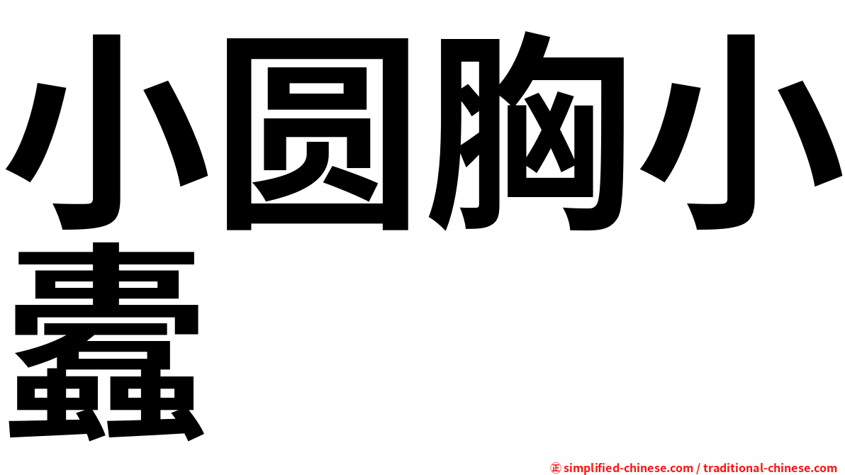 小圆胸小蠹