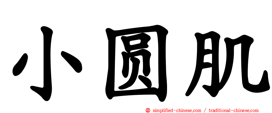 小圆肌