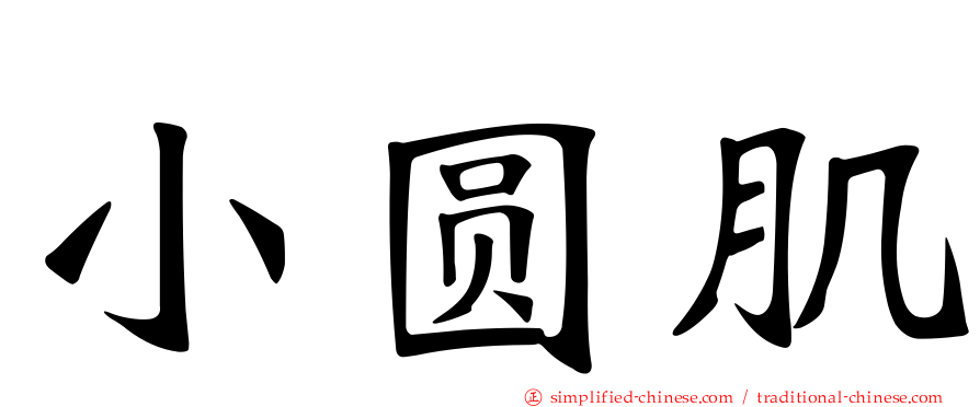 小圆肌