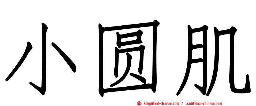 小圆肌