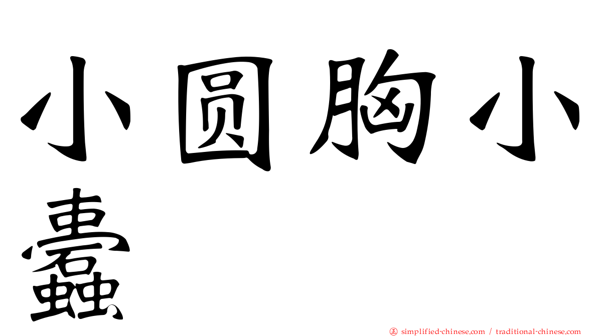 小圆胸小蠹