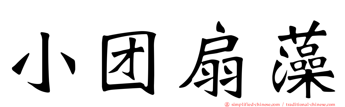 小团扇藻