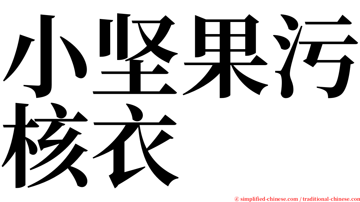小坚果污核衣 serif font