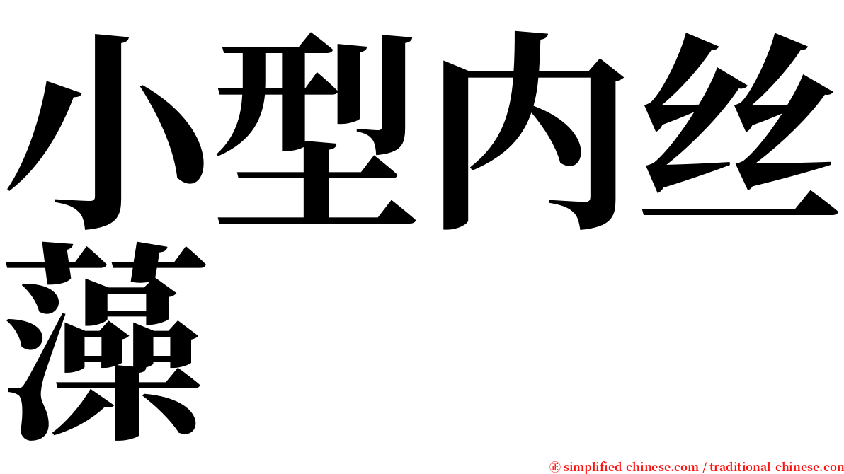 小型内丝藻 serif font