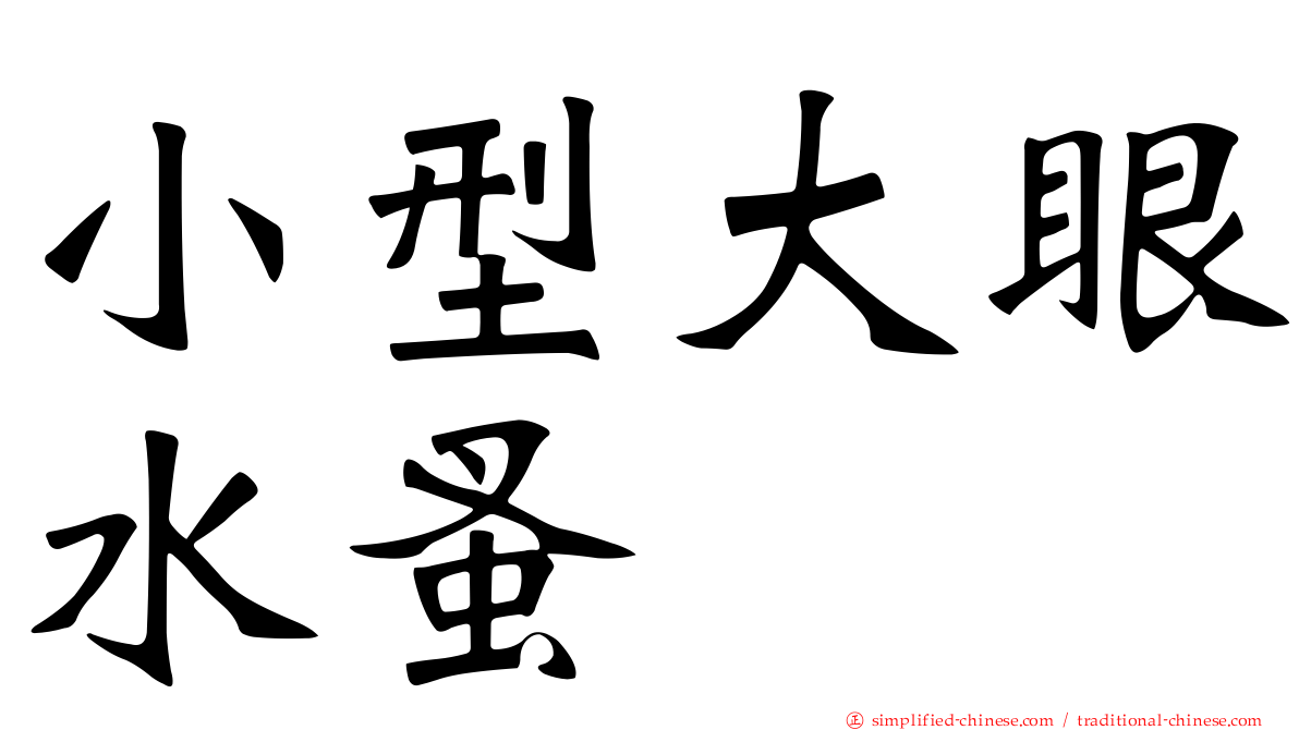 小型大眼水蚤