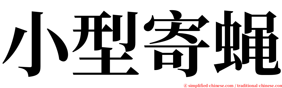 小型寄蝇 serif font